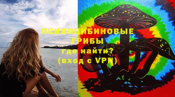 гашик Володарск