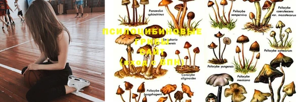 герыч Волосово