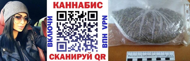 Каннабис план  Сургут 